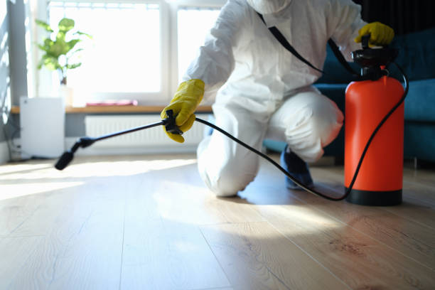 Reliable Odor Removal contractor in Cecil, GA by Trauma Clean Pros